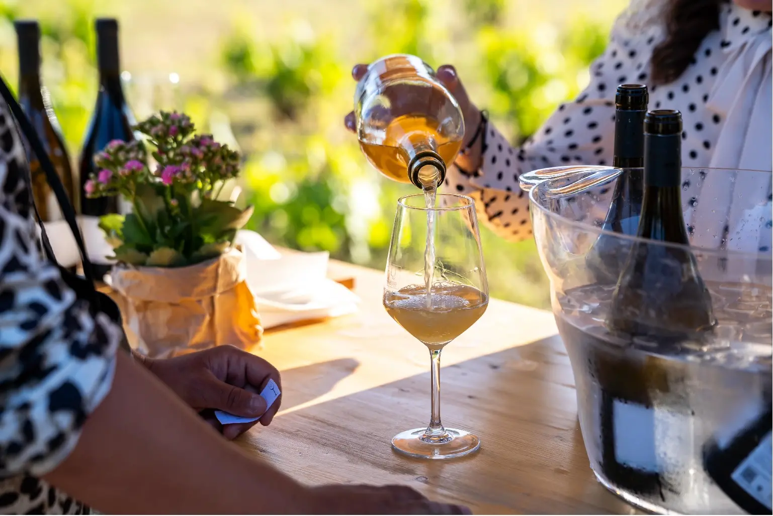 Cantine Aperte 2025 (foto concessa)