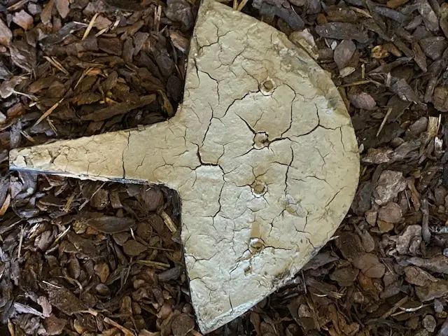 Una navicella coperta di fango (foto Raggio)