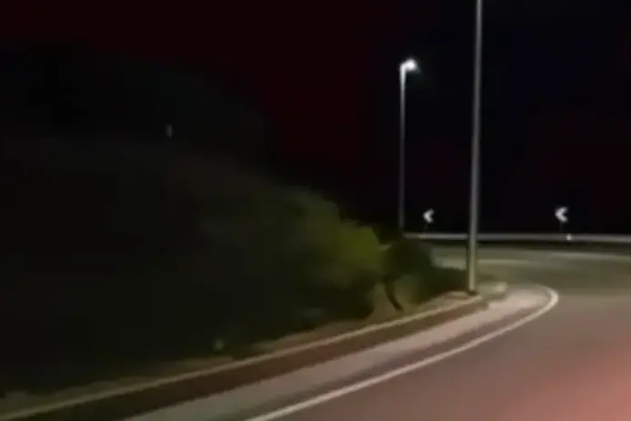Litoranea di Porto Torres (foto Pala)