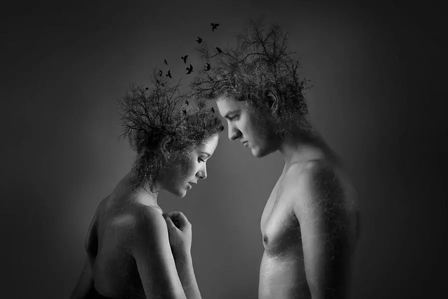 Immagine simbolo (foto pixabay.com)