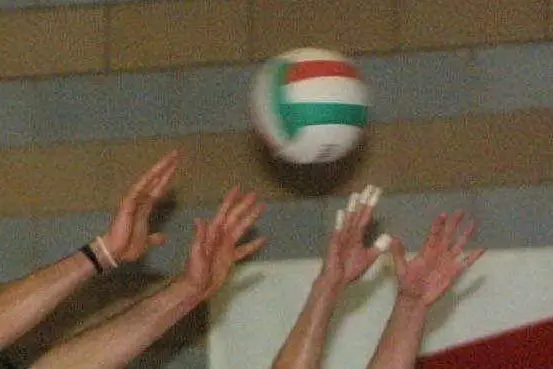 Pallavolo