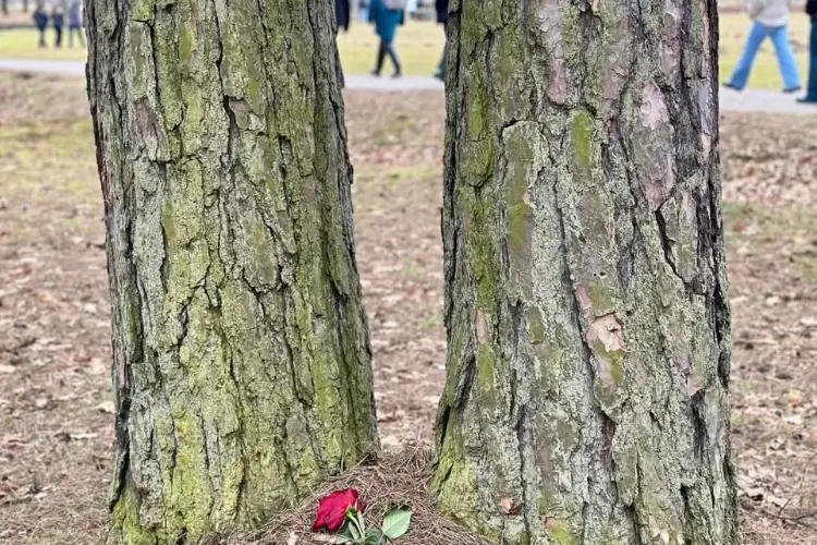 Immagini della iniziativa a Sennori (foto concessa)