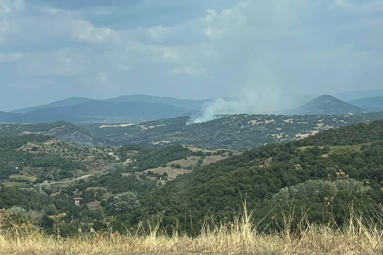 L'incendio tra Samugheo e Atzara  (Onano)