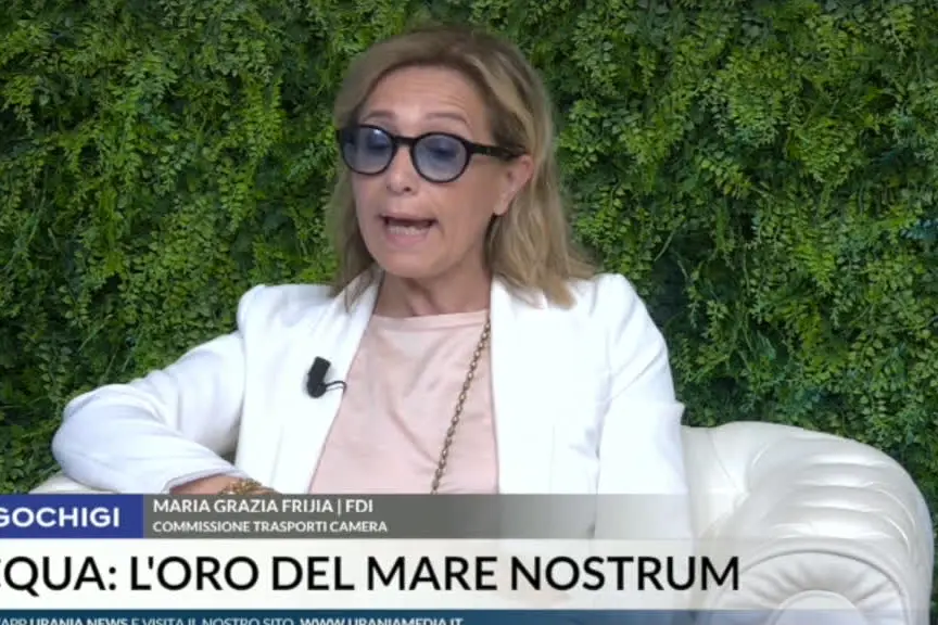 Frijia (FdI): in riforma porti governance investimenti organici