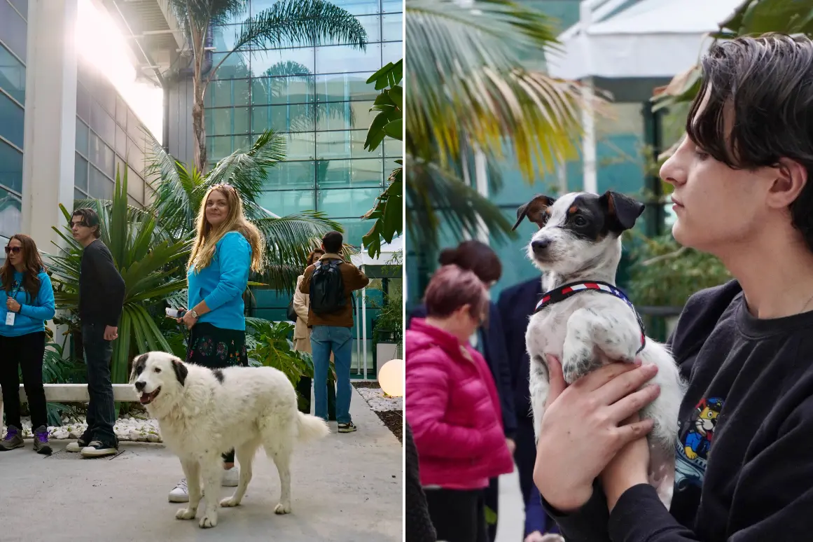 Pet Area all'aeroporto di Elmas