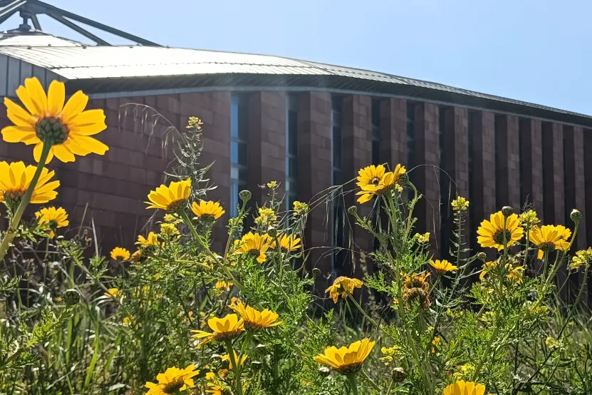 L'orto botanico di Piandanna (foto ufficio stampa)