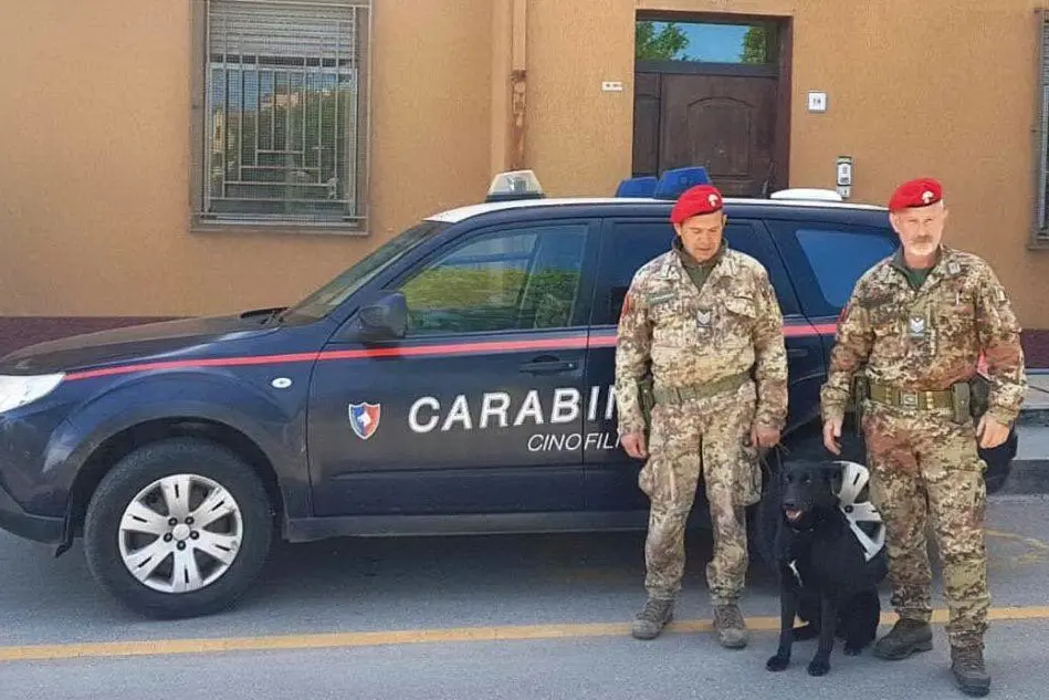 Il nucleo cinofilo (foto carabinieri)