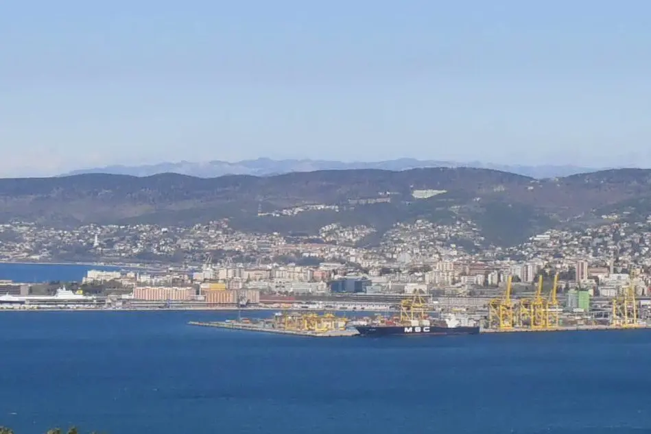 Il porto di Trieste