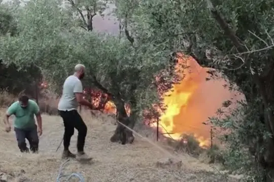 Tre vigili del fuoco sono morti combattendo gli incendi in Grecia
