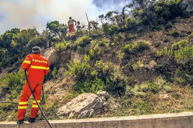 Lavoratori Forestas (archivio L'Unione Sarda)