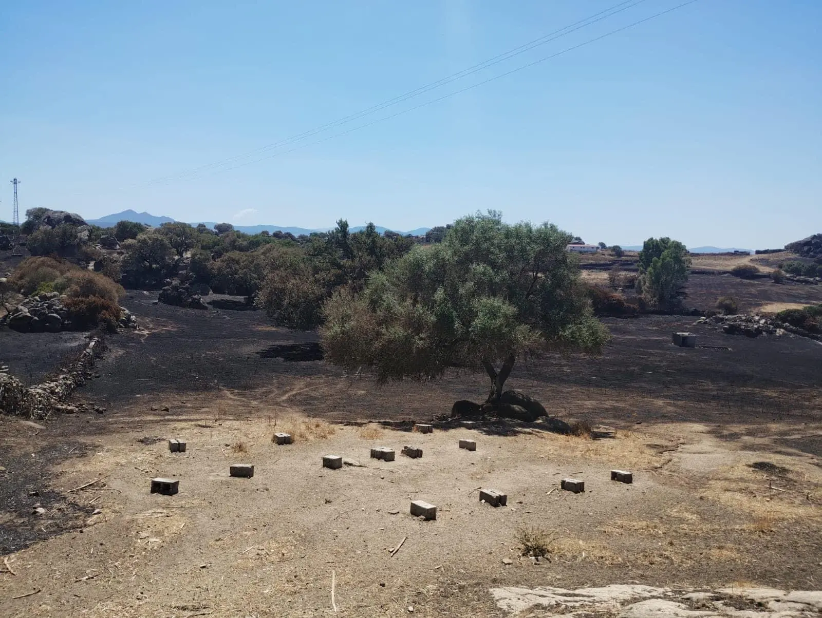 Una delle aziende danneggiate nel rogo di Orotelli (foto Onano)