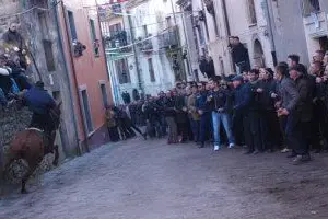 Un'immagine de "SA Carrela"