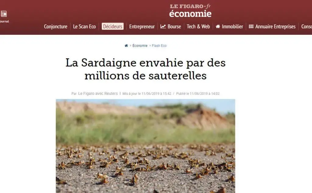 \"La Sardegna invasa da milioni di cavallette\", scrive il francese Le Figaro