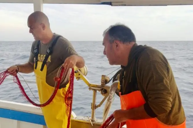 Pescaturismo all'Asinara (foto concessa)