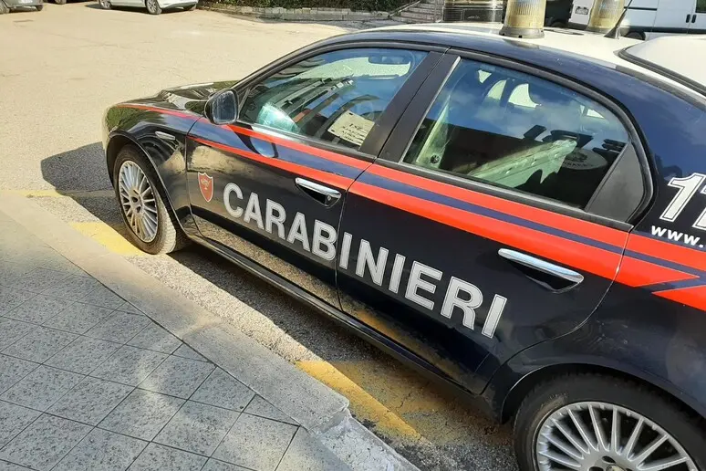 Carabinieri (foto Ansa)