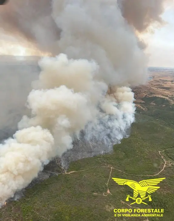 L'incendio di Villacidro visto dall'alto (foto Corpo forestale)