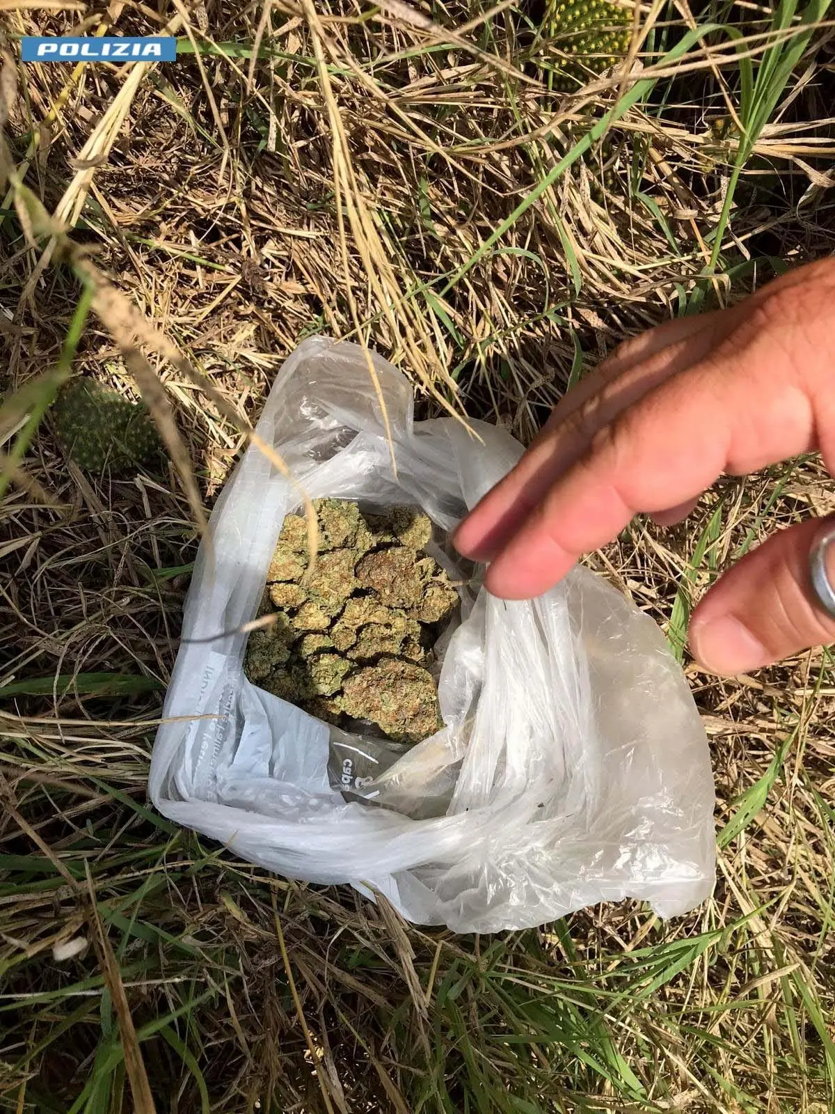 La droga scoperta a Oristano