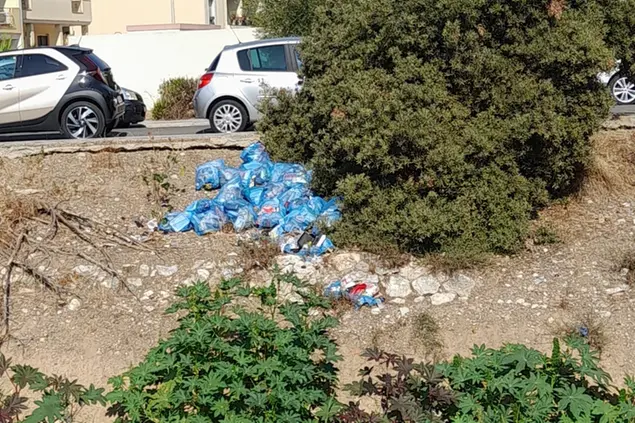 Un problema che non si ferma: l’abbandono dei rifiuti a Quartucciu. Il Rio Is Cungiaus (foto Melis)