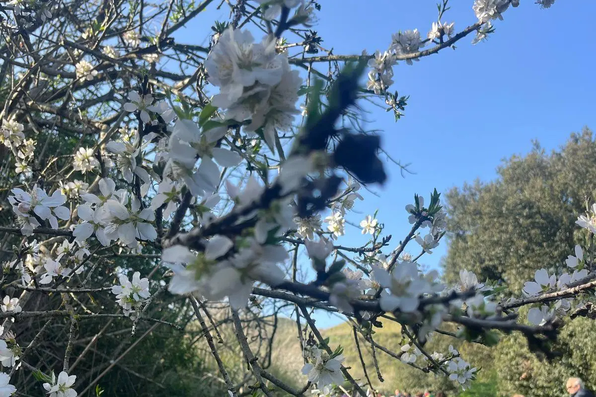 Immagine di repertorio di "Passeg...Giare" (foto concessa)