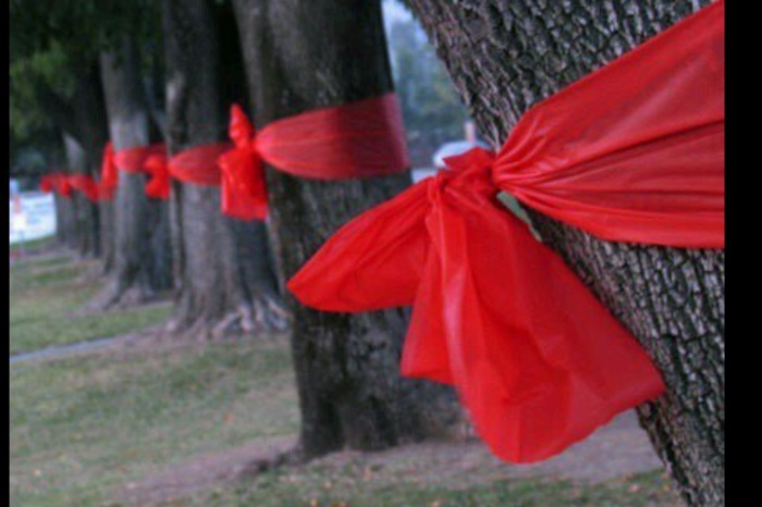 Fiocchi rossi per ricordare le vittime dei femminicidi (Ansa)