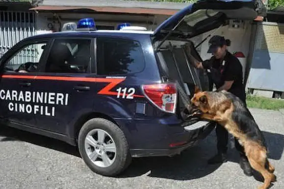 I controlli del cane Indio (Foto Carabinieri)