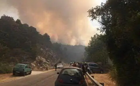Il fuoco a Belvì, foto del lettore Mariano Paba