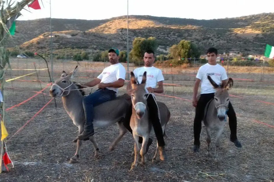 I vincitiori del palio