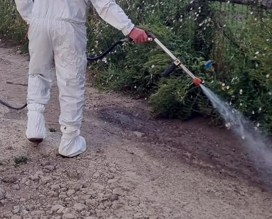 Blatte davanti all’asilo, via alla disinfestazione