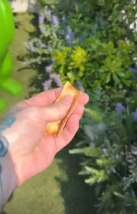 Il pezzo di pane carasau \"offerto\" al piccione da Fedez (fermo immagine da Instagram)