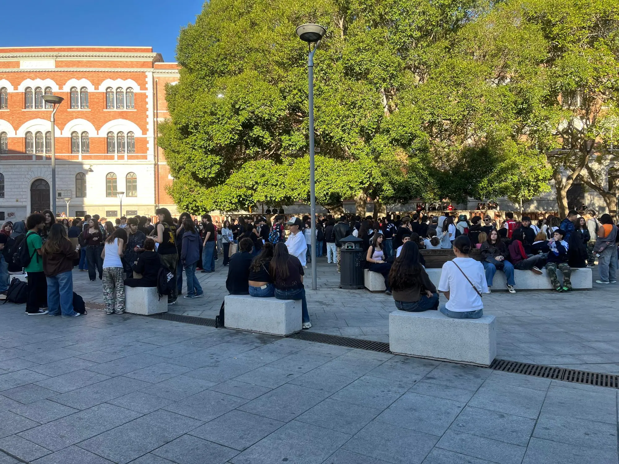 Schools protest in Cagliari, with students in Piazza Garibaldi: 