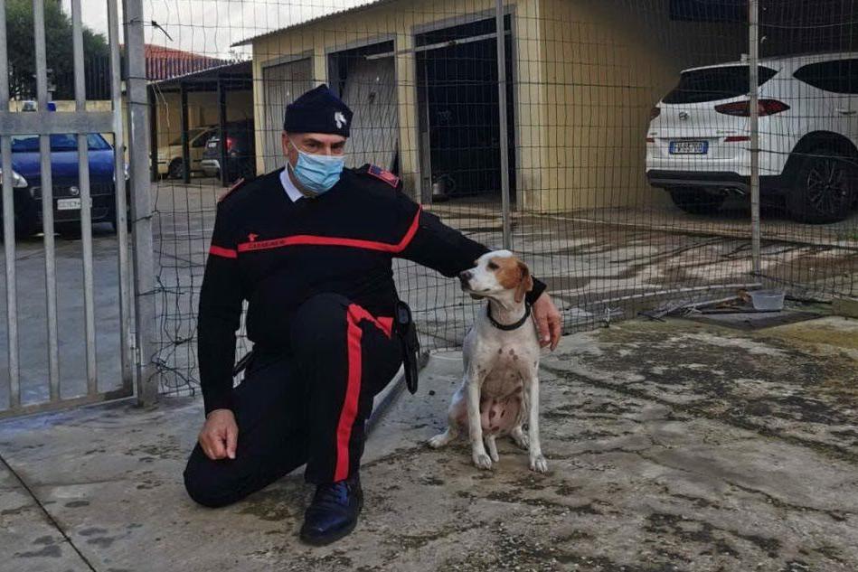 L'appuntato Dante Licheri con il cane tratto in salvo (foto Pittau)