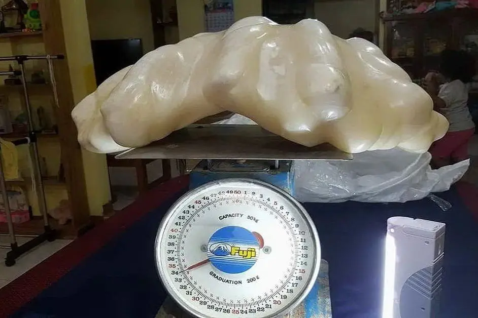 La perla più grande mai pescata al mondo: pesa 34 chili e si trova nelle Filippine