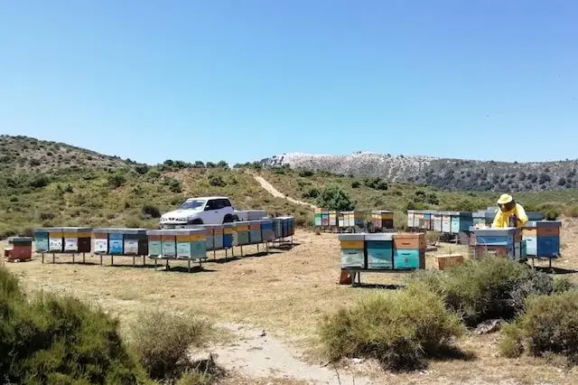 L'azienda (foto concessa)