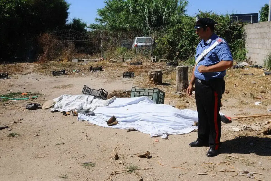 I cani avvelenati a Nurachi