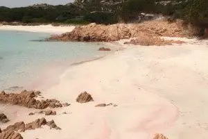 Budelli: la spiaggia rosa