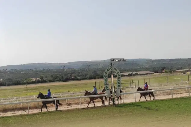 L'ippodromo di Sassari (foto G. Marras)