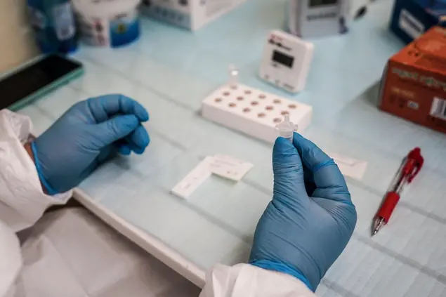 Un laboratorio (Ansa - Pasqualon)