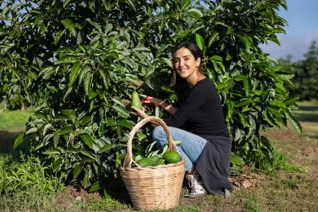 contentid/4787ac81-3a99-4ccd-880a-66ad2f0afa10