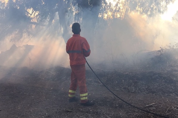 Servizio antincendio in Sardegna: volontariato di nuovo pienamente operativo