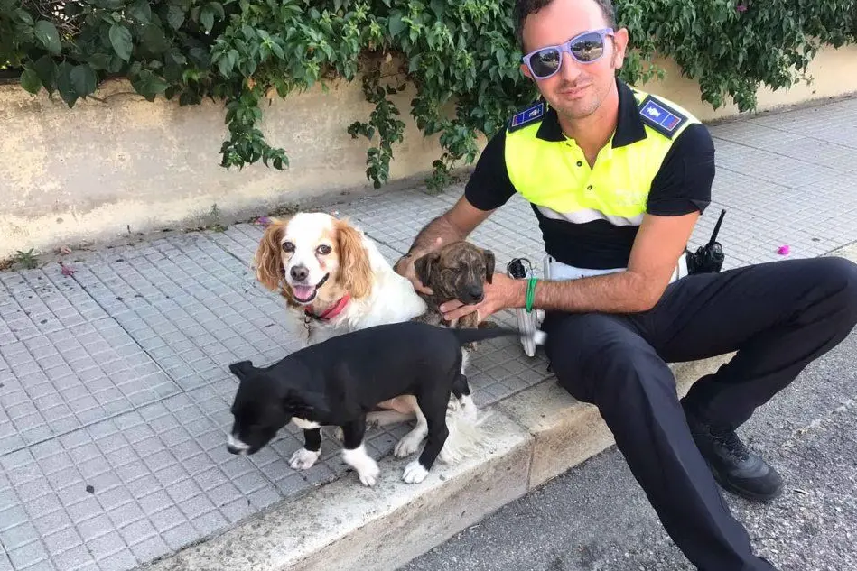 I due cuccioli insieme a un agente e a un terzo cagnolino (foto Polizia municipale)