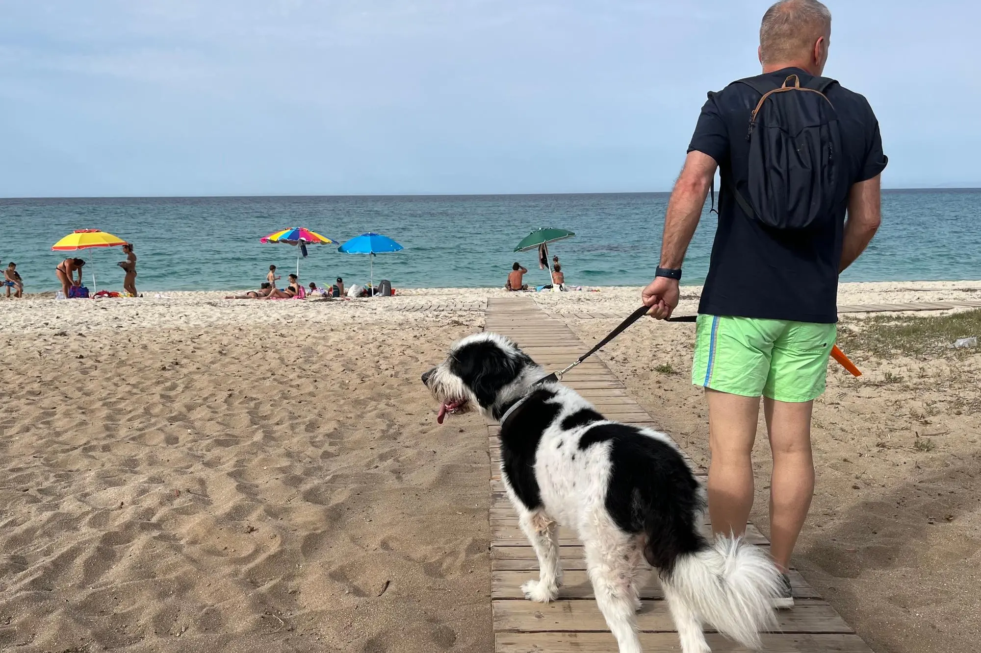 La spiaggia per i cani a Fiumesanto - foto gloria calvi 15.06.2022