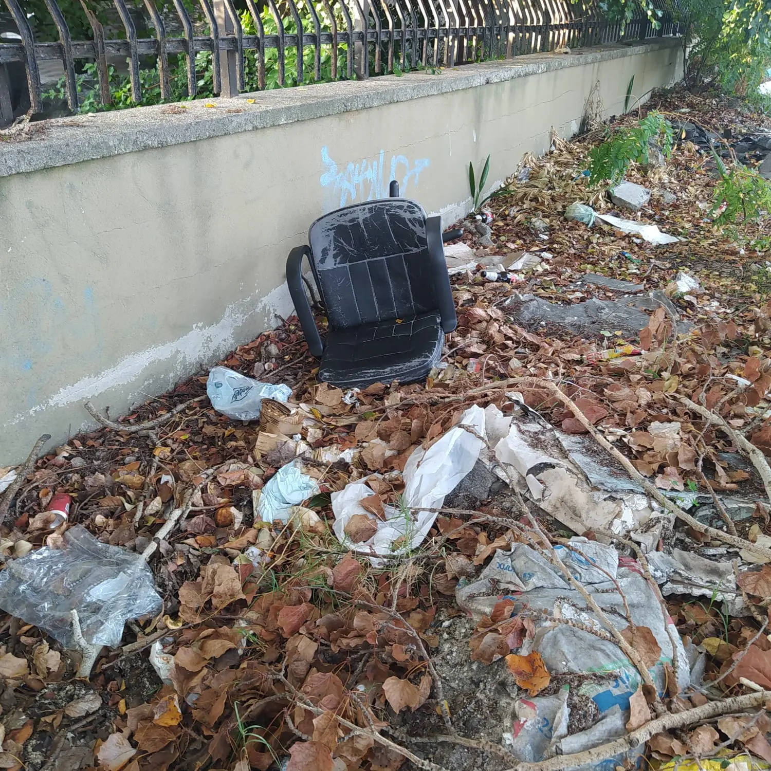 Un'altra immagine inviata dal lettore