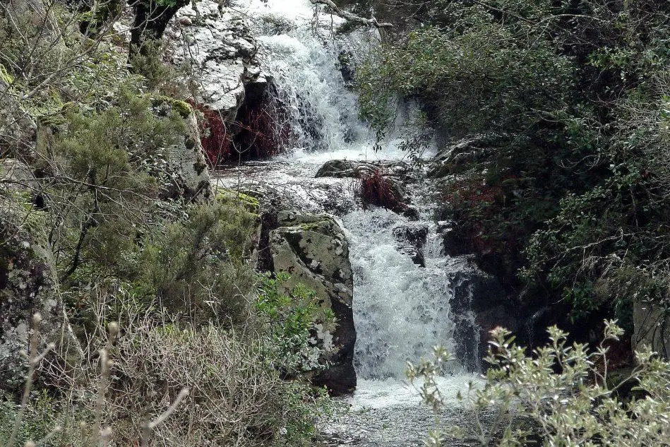 Una sorgente sul Limbara