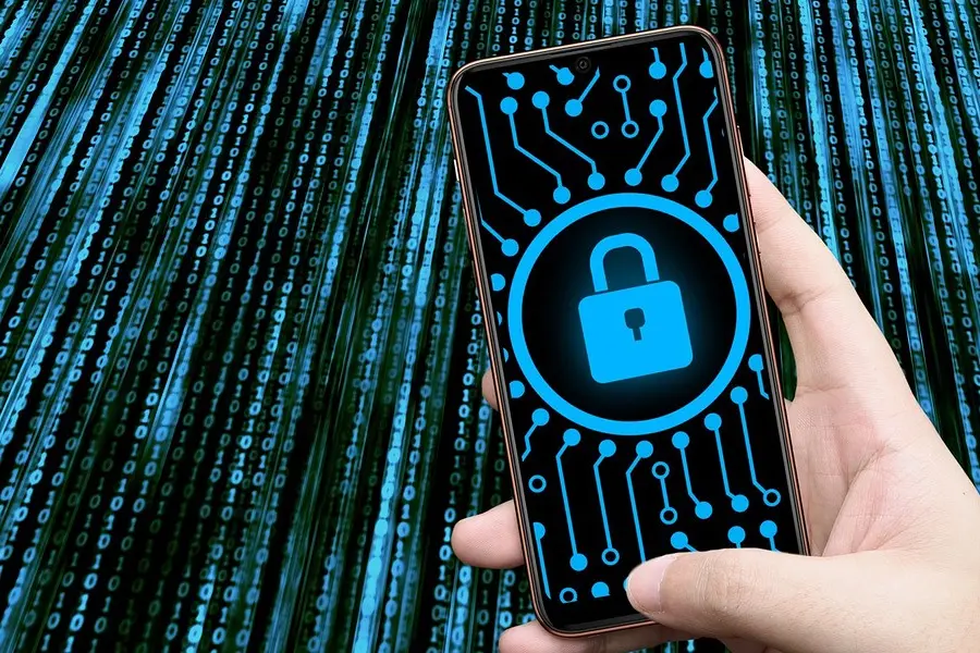 Web e privacy (foto Ansa)
