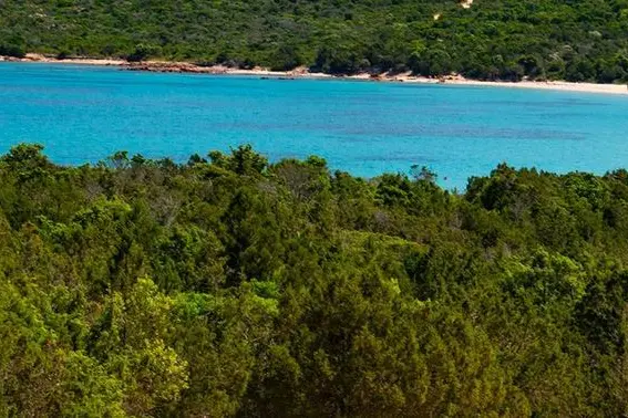 Arzachena, spiaggia Liscia Ruja