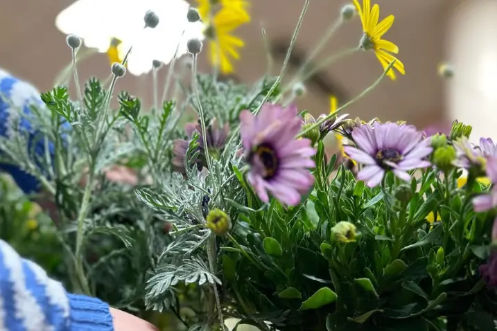 Fiori (foto concessa)