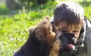 Diego e il suo fratellino peloso Thor, Seulo