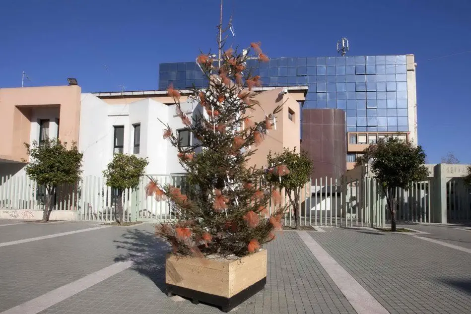 Un albero di Natale in piazza del Municipio