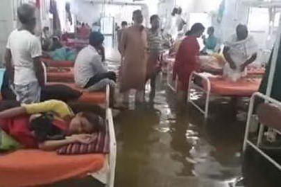 India, i pesci nuotano nell'ospedale colpito dall'alluvione