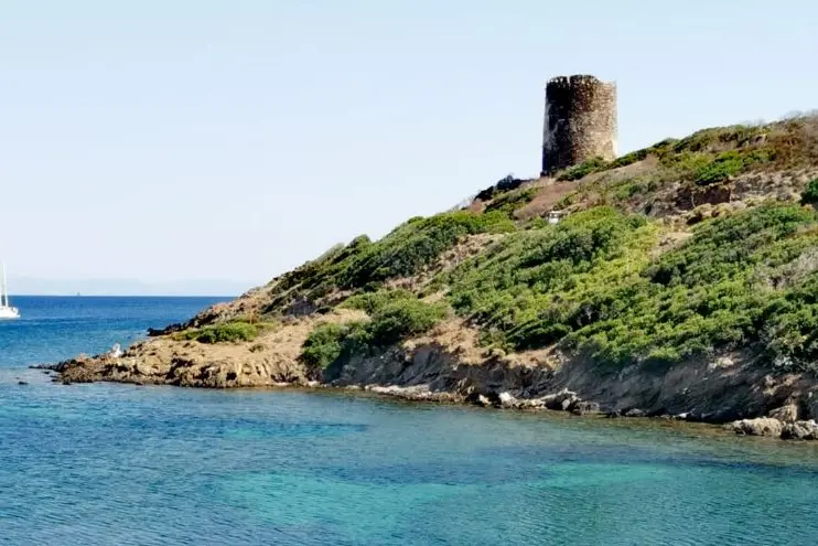 L'Asinara (foto L'Unione Sarda - Pala)